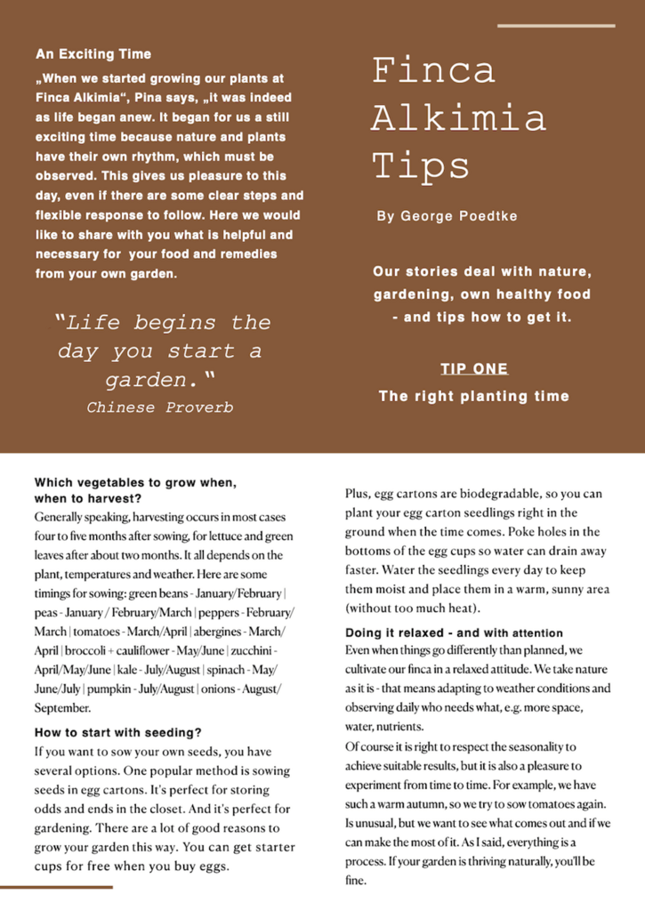 Tip One Planting Right Time